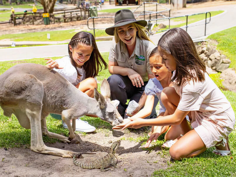 Children feeding a kangaroo with the help of a park ranger at Currumbin Wildlife Sanctuary.